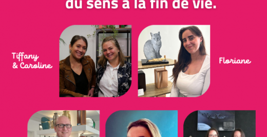 Louis Schweitzer, entreprises, croissance