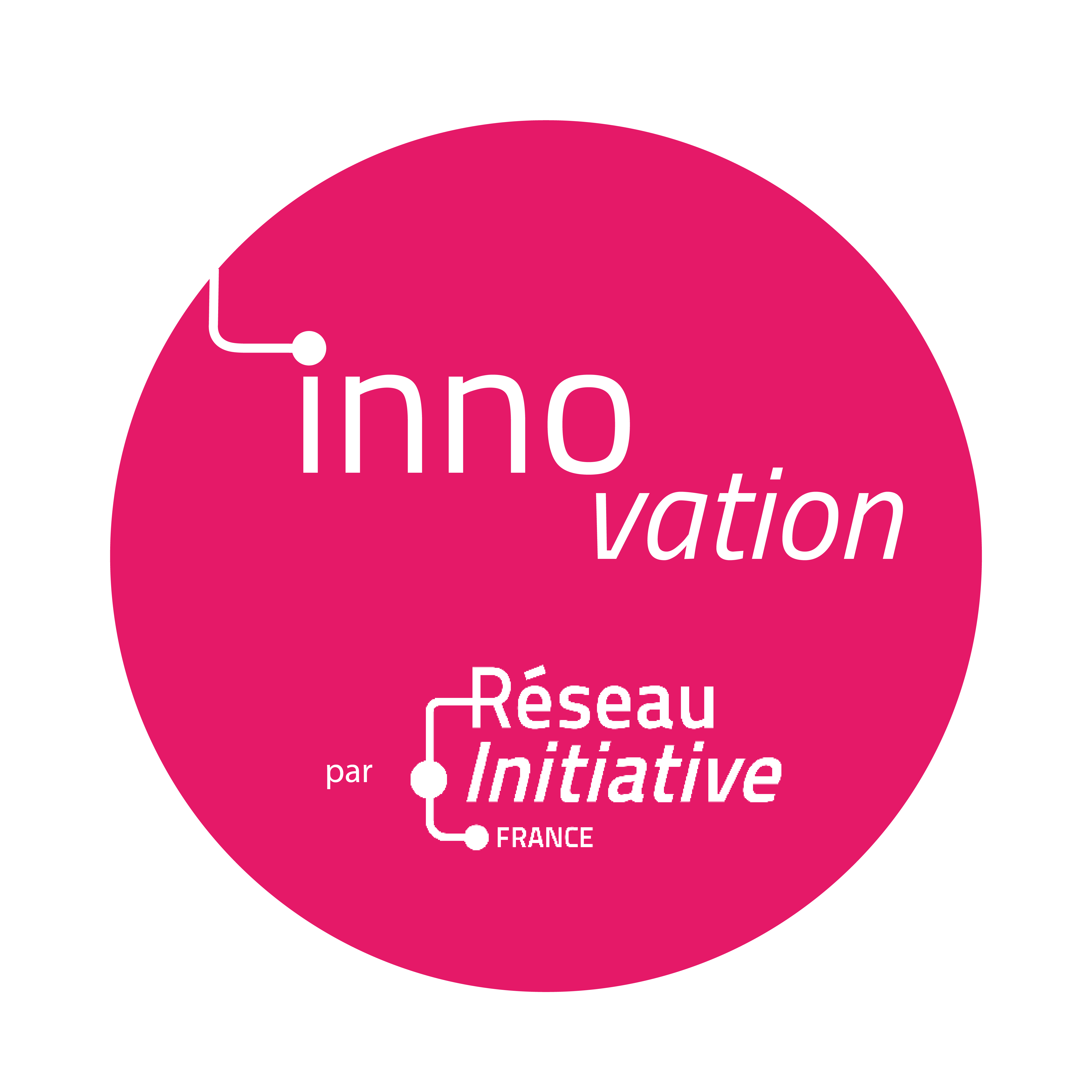 innovation, Louis Schweitzer, micro crédit, entrepreneur